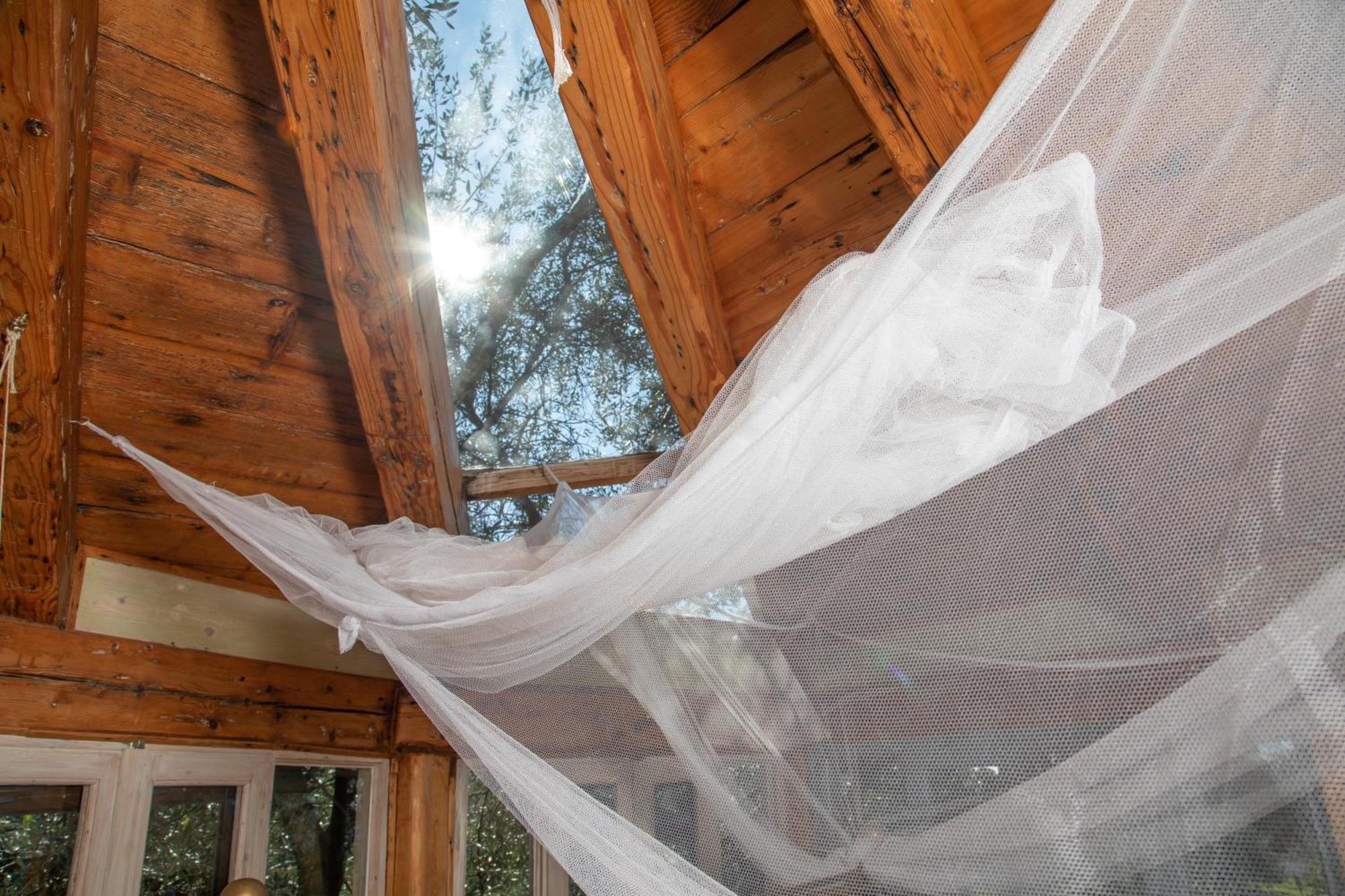 Вілла Margaritis'S Treehouse Paramonas  Екстер'єр фото